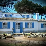 Geko Villa