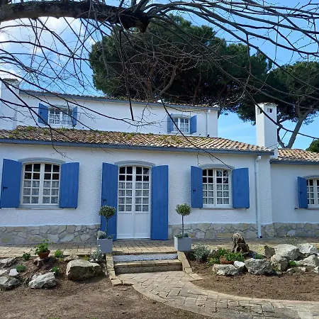 Vila Geko