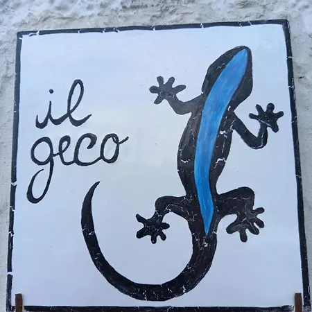 Geko Vila *