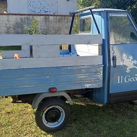 Geko Vila Sabaudia
