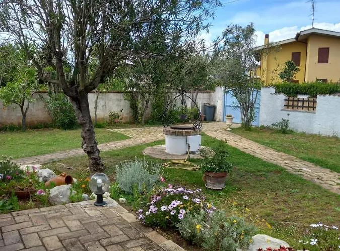 Geko * סבאודיה