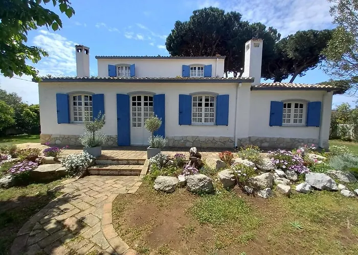 Geko * סבאודיה