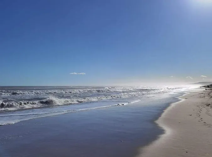 Geko * סבאודיה